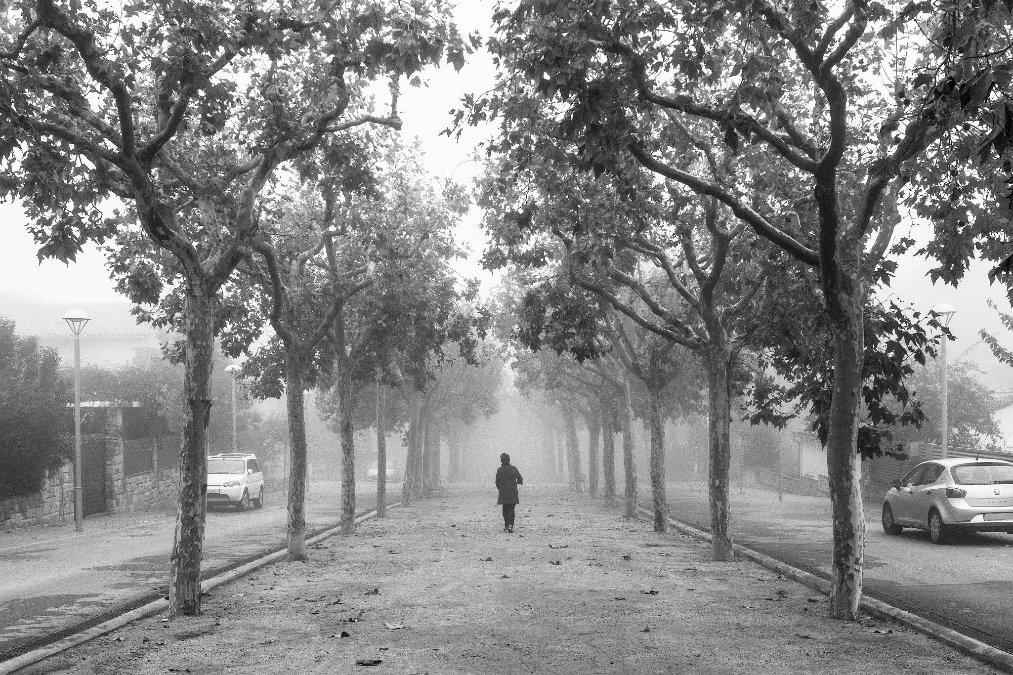 El Passeig