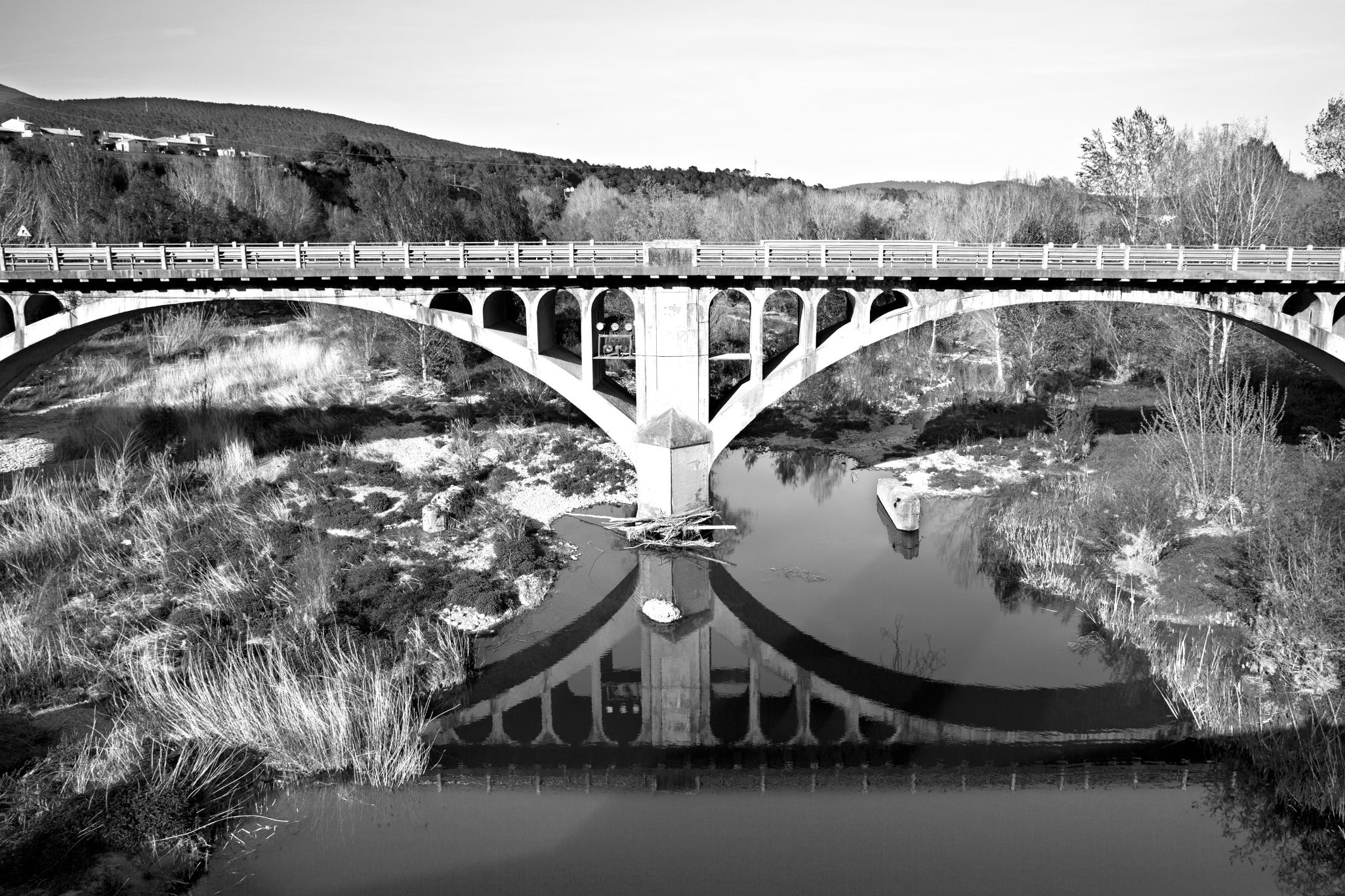 Reflejos