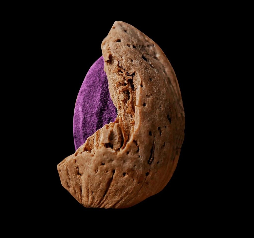 AMETLLATANES