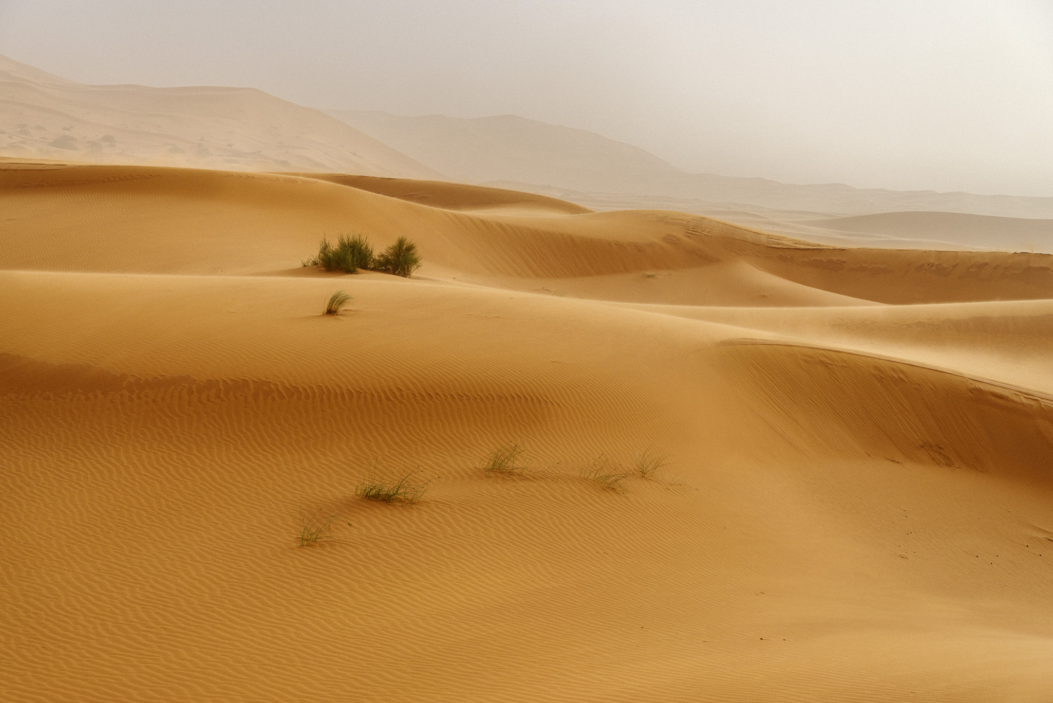 Desierto