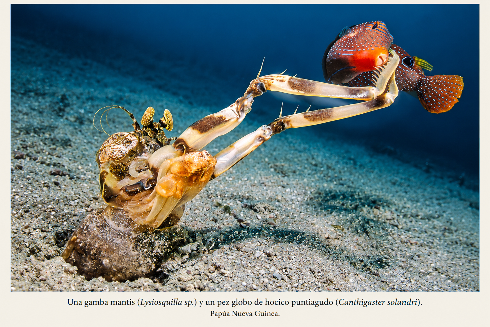 20260905 105853
