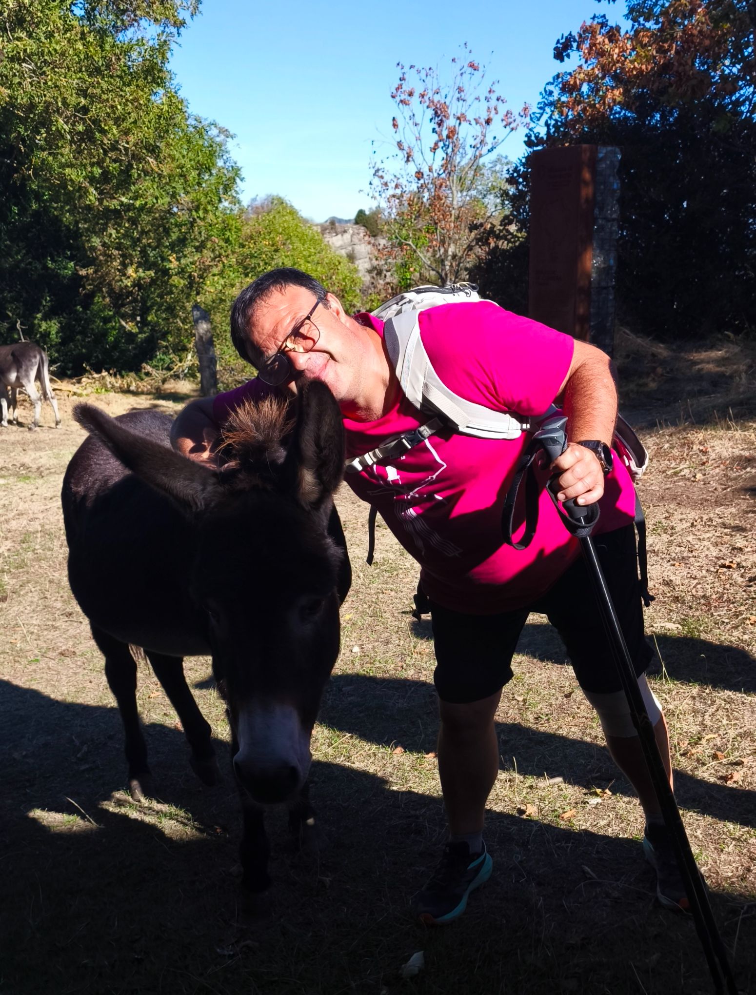 IMG 20260920 104804