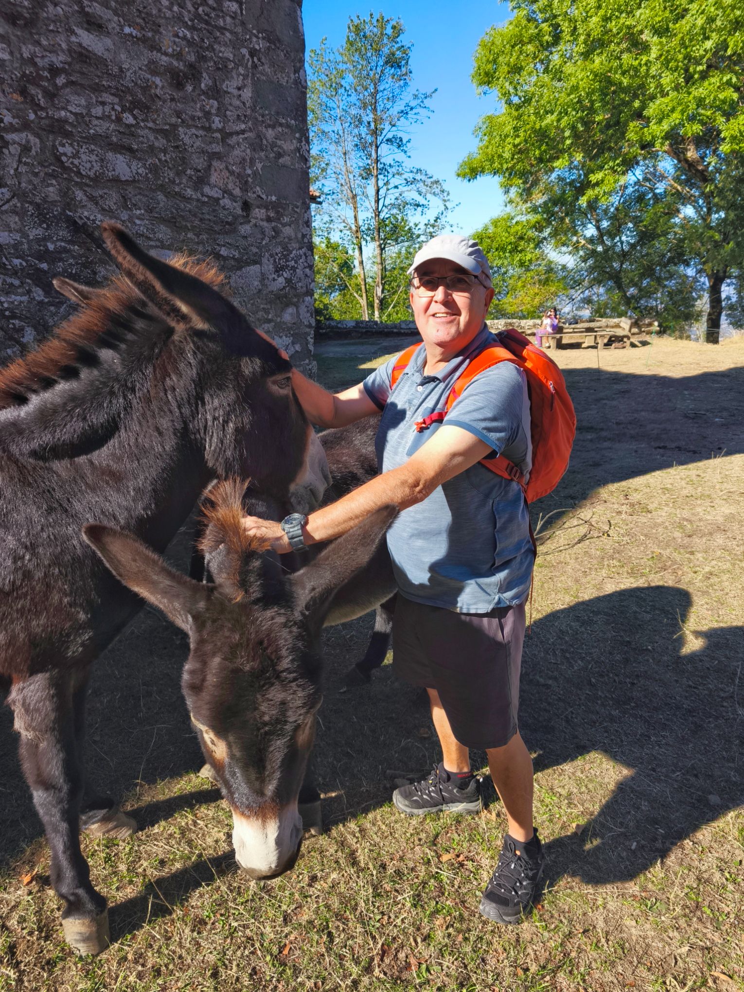 IMG 20260920 104833