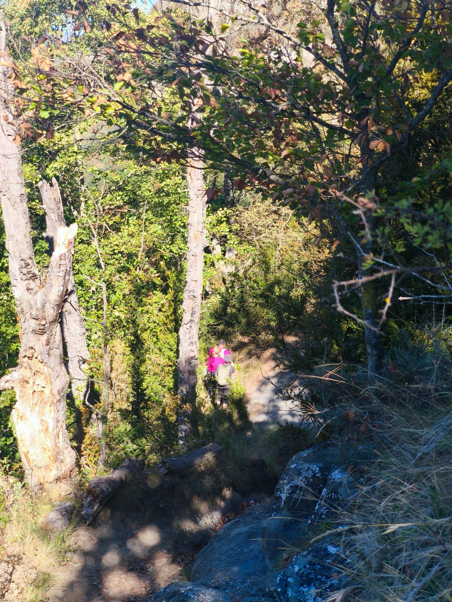 IMG 20260920 111554