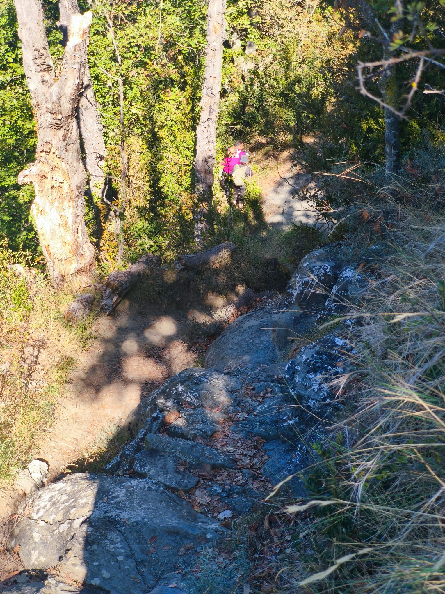 IMG 20260920 111556