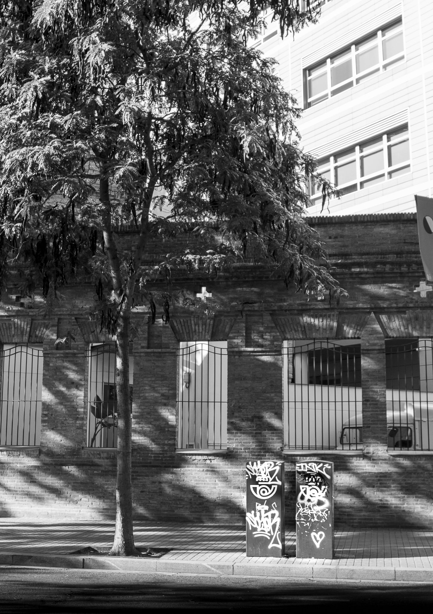26092026 IMG 4762